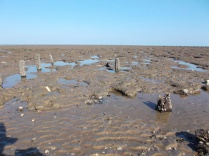 On the mud flats off Norderney.